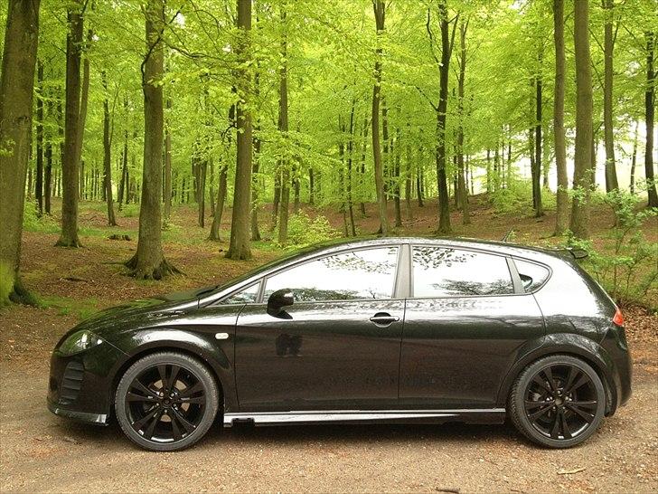 Seat Leon Cobra stylance billede 9