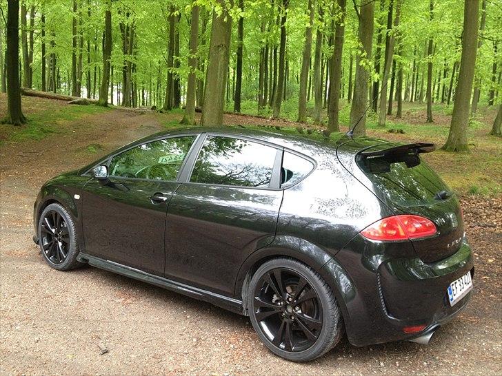 Seat Leon Cobra stylance billede 11