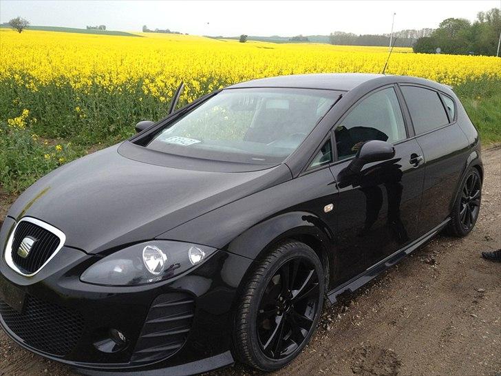 Seat Leon Cobra stylance billede 8