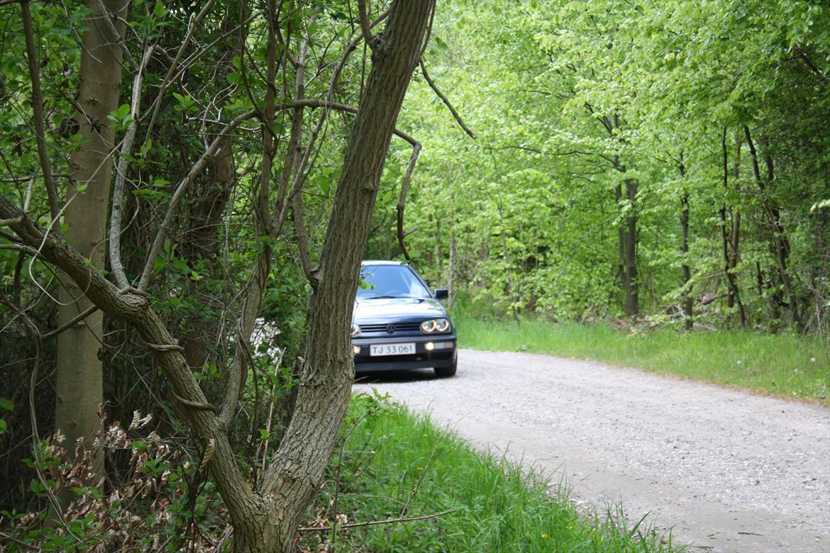 VW Golf 3 [Tidl. Bil] Solgt billede 3