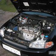 Honda Civic LSI