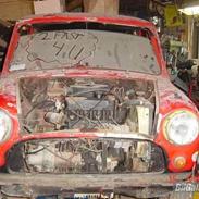 Austin-Morris Mascot