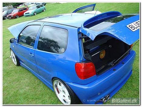 VW Polo 6n Colour concept billede 1