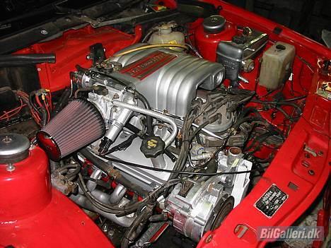 Ford selzer scorpio V8 - sådan ser det ud nu efter en go vinter billede 4