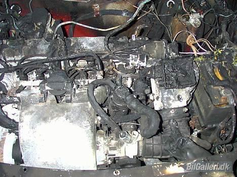 Peugeot 205 1,6 GTi billede 5