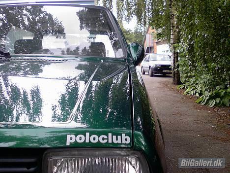 VW polo 2 steilheck - front med poloclub mærke billede 1