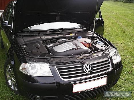 VW Passat V5 billede 2