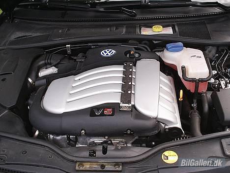 VW Passat V5 billede 3