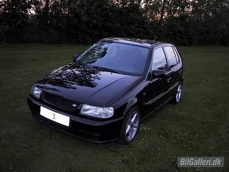 VW Polo 6N billede 1