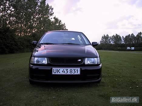 VW Polo 6N billede 2