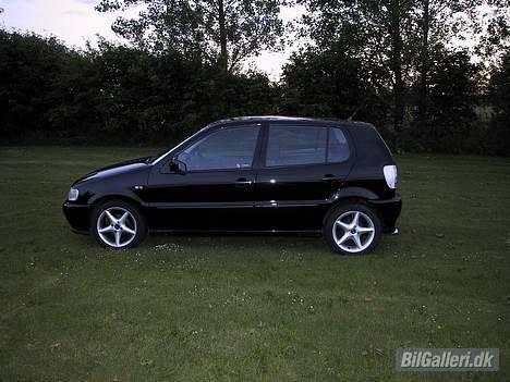 VW Polo 6N billede 3
