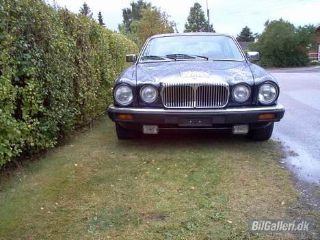 Jaguar Daimler Double Six V12 billede 4