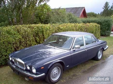 Jaguar Daimler Double Six V12 billede 7