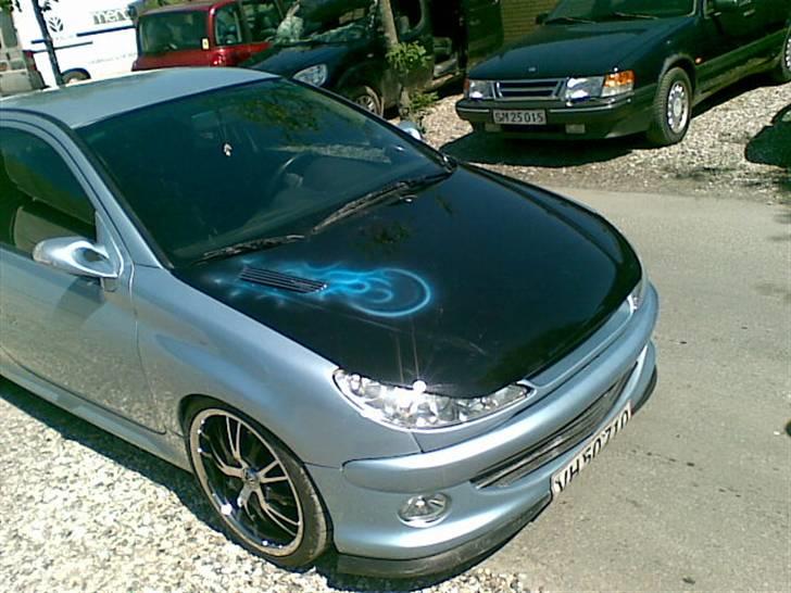 Peugeot 206 hdi ( R.I.P ) - sommeren2009 billede 4