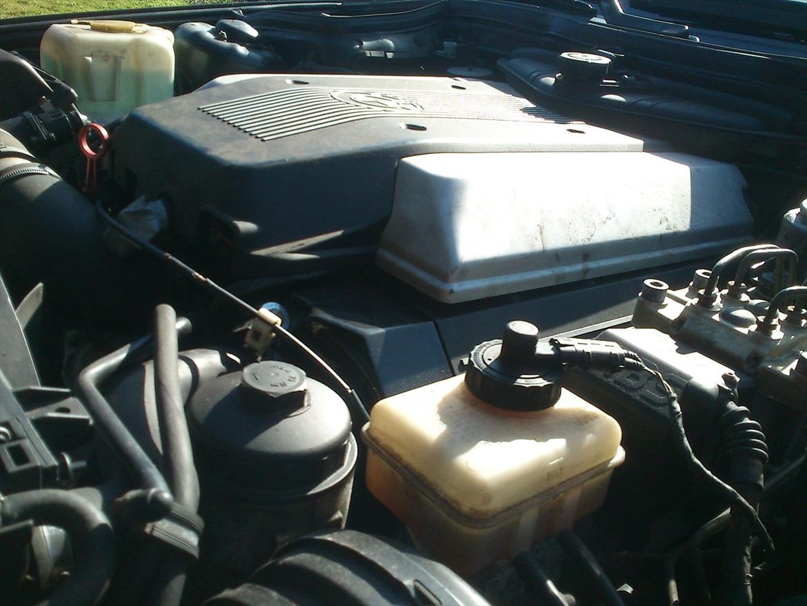 BMW e34 touring v8 billede 6