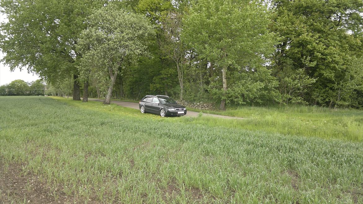 Audi A4 TDI AVANT billede 7