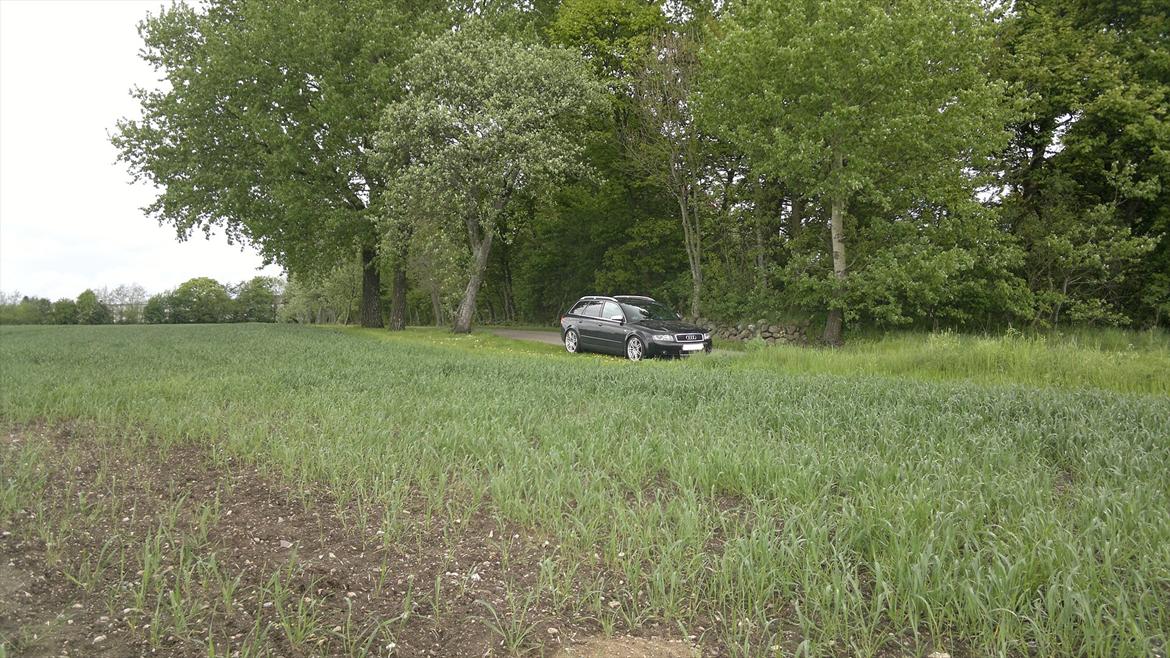 Audi A4 TDI AVANT billede 8