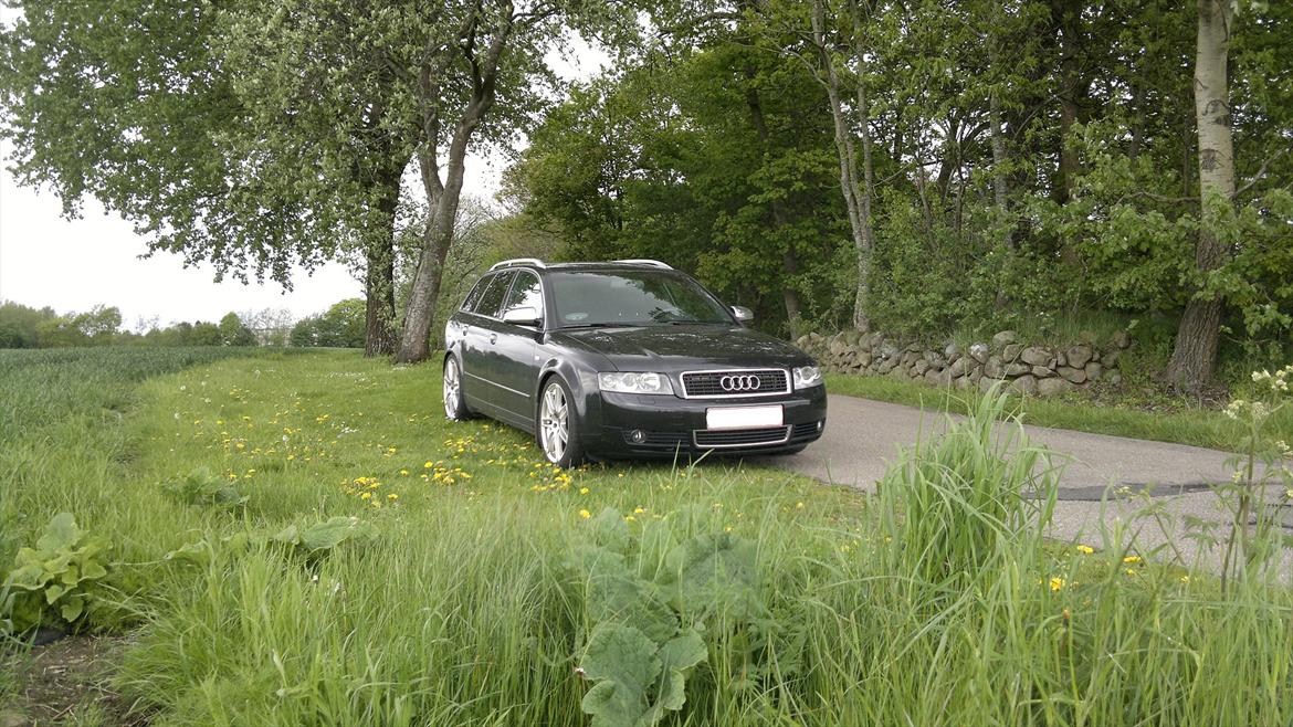Audi A4 TDI AVANT billede 11