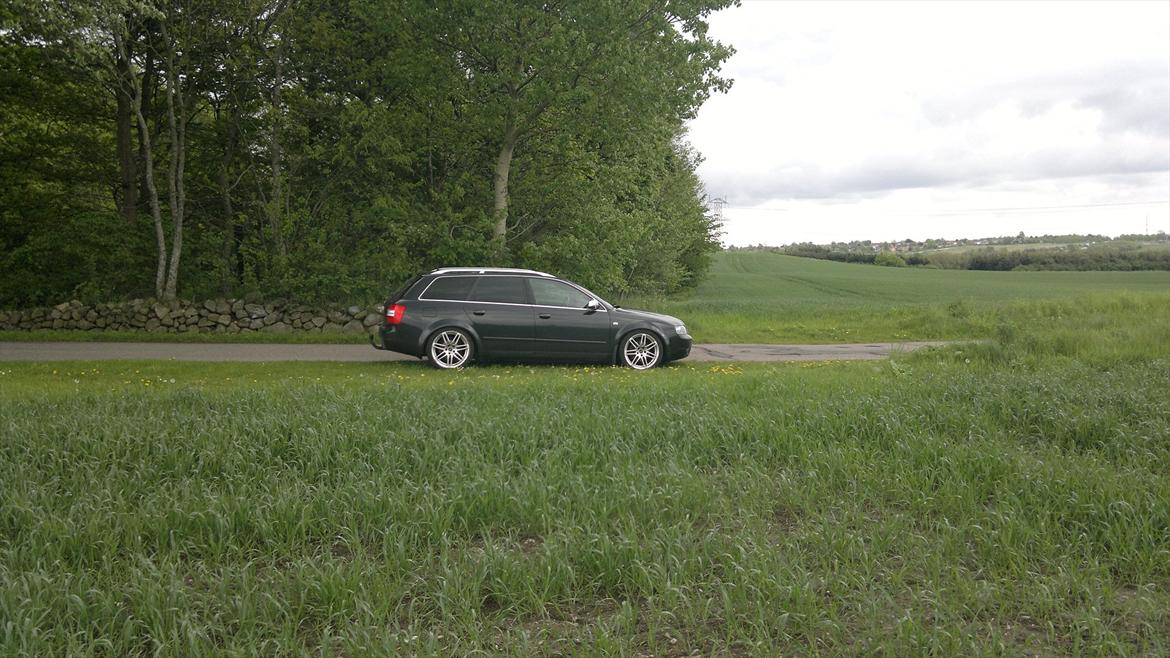 Audi A4 TDI AVANT billede 12