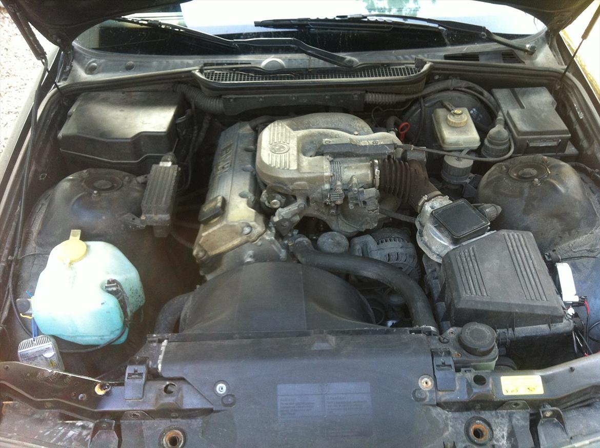 BMW e36 316i (SOLGT) billede 6