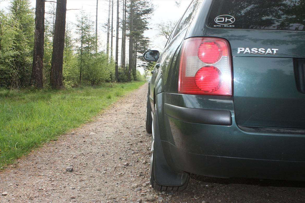 VW Passat TDI man variant billede 6