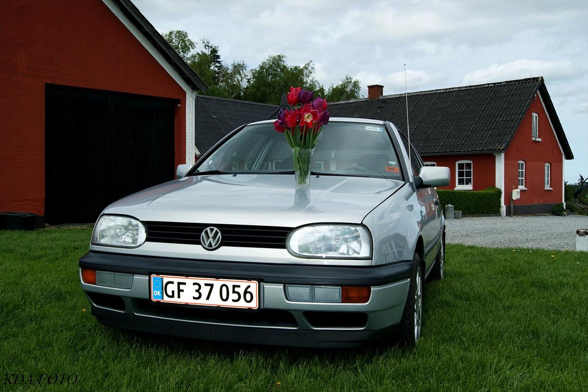 VW Golf III - Ingolf med blomster, men foretrækker ham nu uden;) billede 4