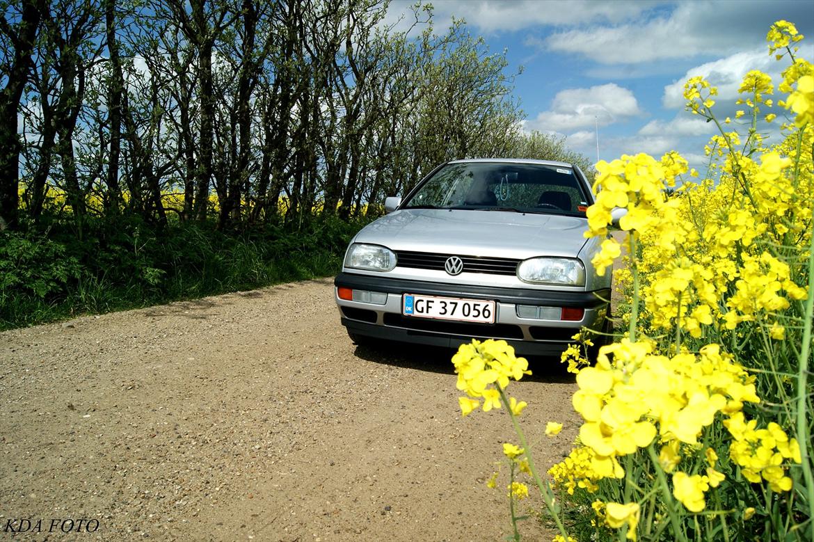 VW Golf III - Rapsmarken. billede 14