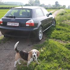 Audi A3 1.8 Turbo ( Tidl. bil )