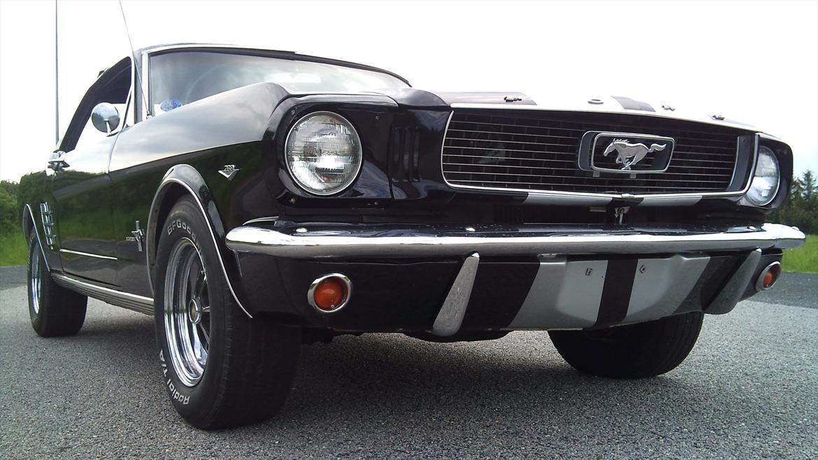 Ford Mustang 4,7 V8 billede 1