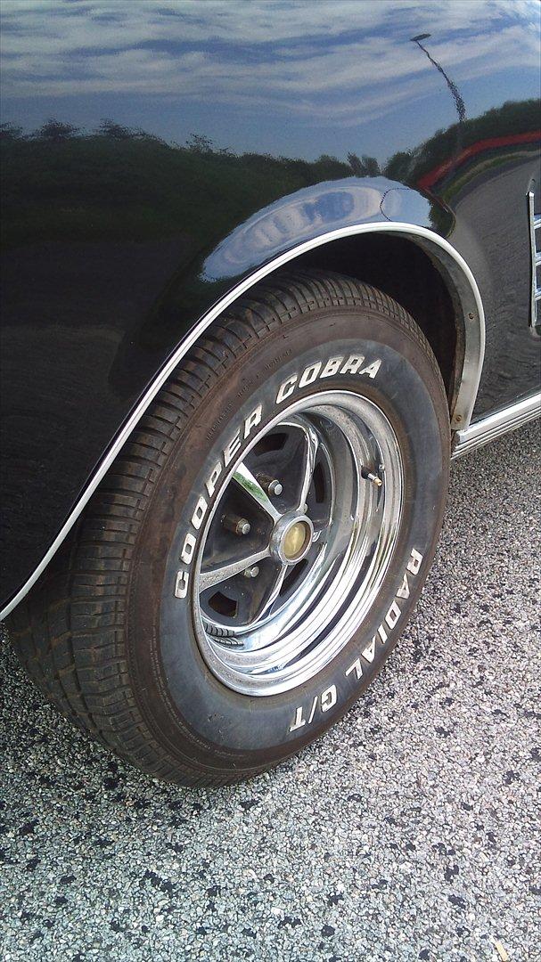 Ford Mustang 4,7 V8 billede 14