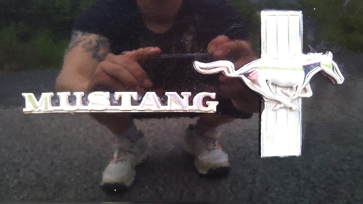 Ford Mustang 4,7 V8 billede 17