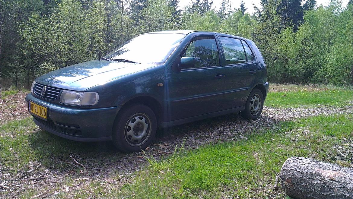 VW polo 6n billede 10