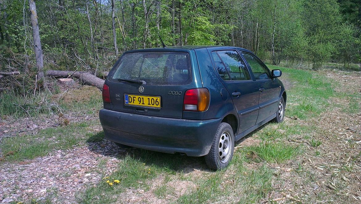 VW polo 6n billede 12