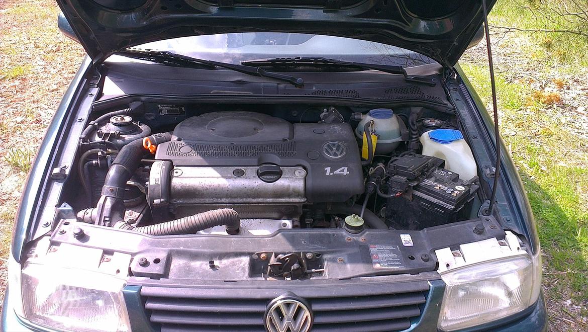 VW polo 6n billede 17