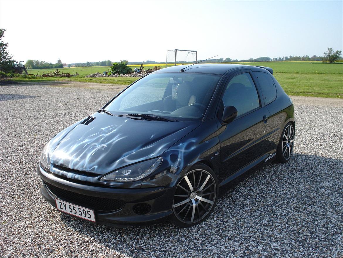 Peugeot 206 Airbrush  billede 4