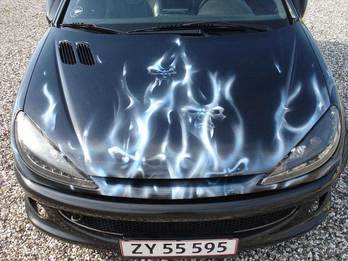 Peugeot 206 Airbrush  billede 11