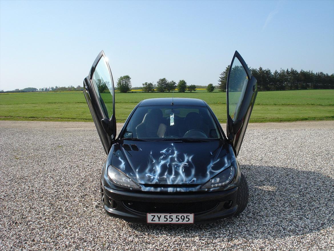 Peugeot 206 Airbrush  billede 13