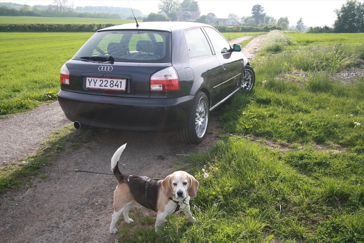 Audi A3 1.8 Turbo ( Tidl. bil ) billede 3