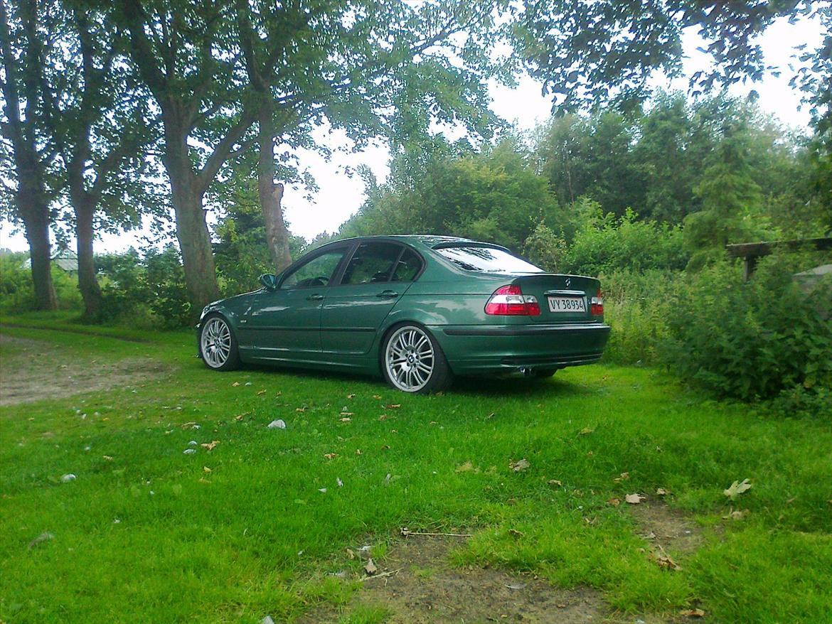 BMW 316i  [Tidl bil] billede 10
