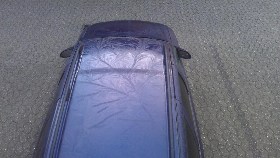 Opel Vectra B billede 14