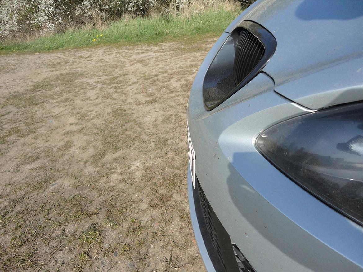 Seat Altea billede 15