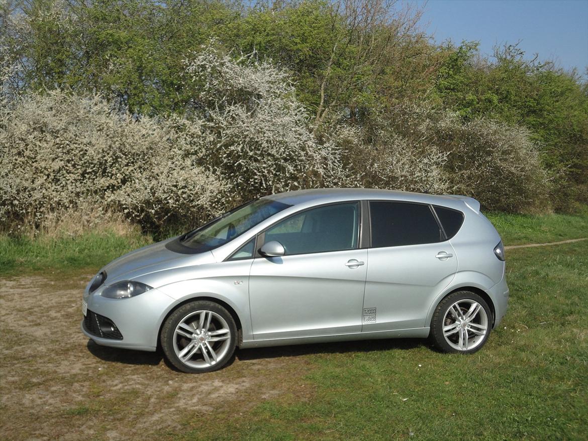 Seat Altea billede 16
