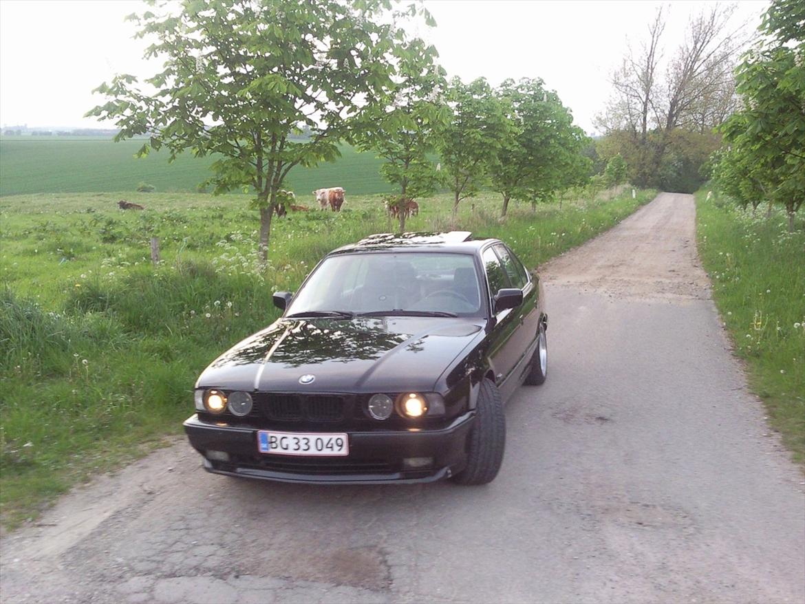 BMW 535 I billede 18