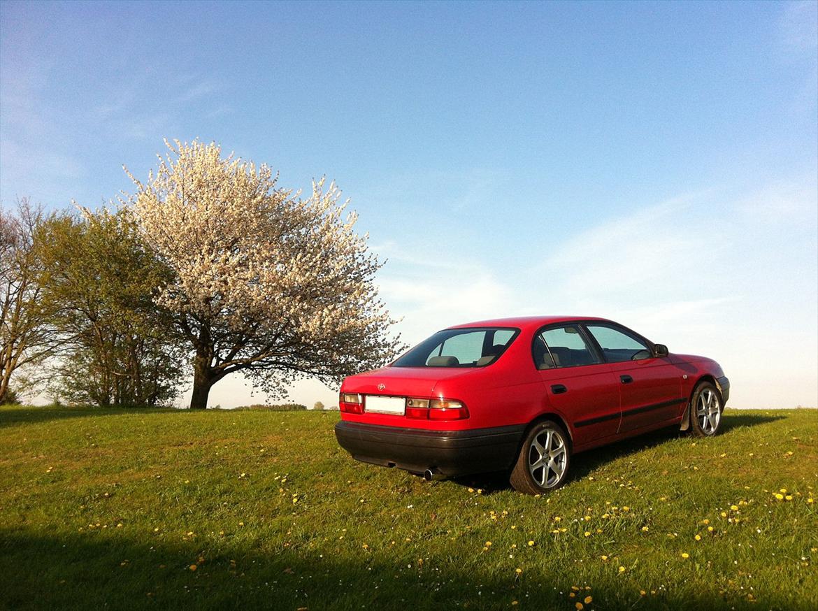 Toyota Carina E 1,6 16V XLi billede 2