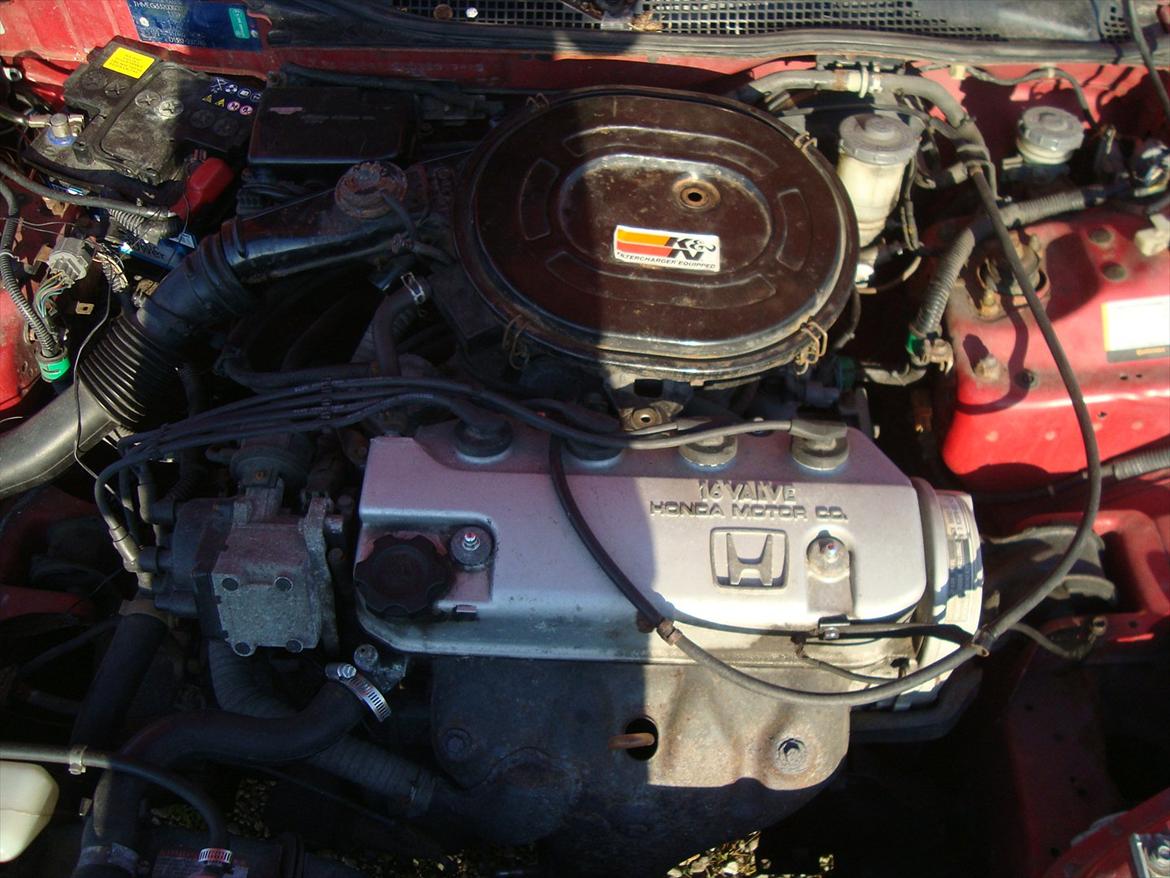 Honda Civic EG HATCHBACK - Det vilde bæst ! billede 17