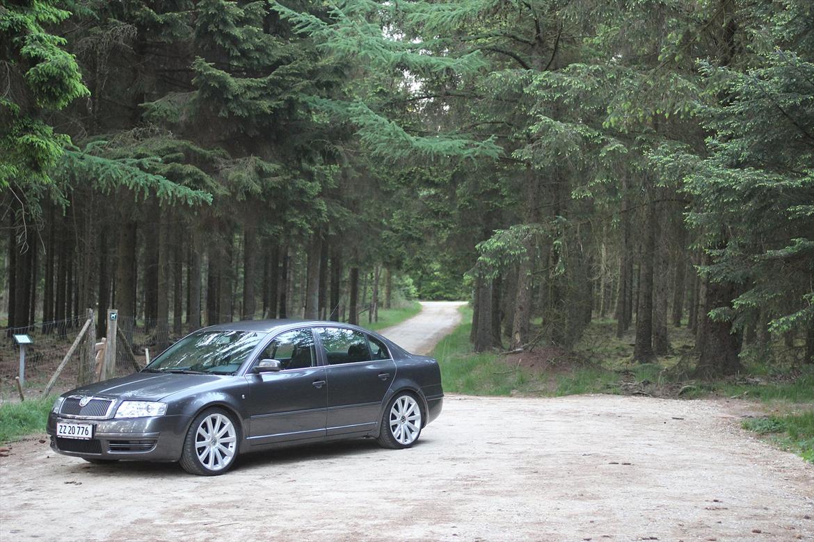 Skoda Superb TDi billede 3