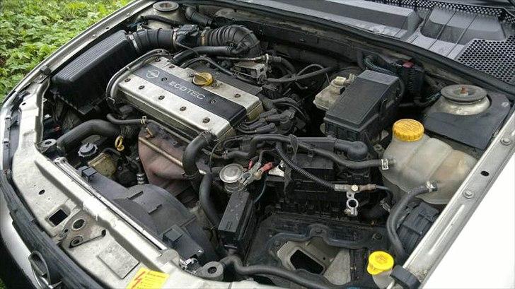 Opel Vectra b st.car Faceliftet billede 14