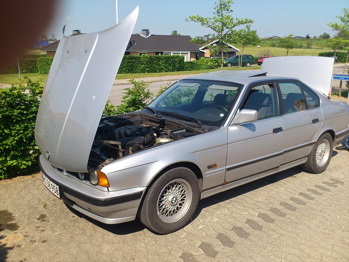 BMW 525i billede 11