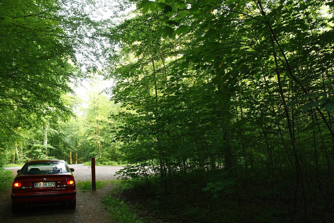 Toyota Carina E 2,0 GTI ''Hidsigproppen'' billede 13