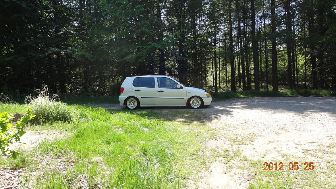 VW polo 6n billede 4